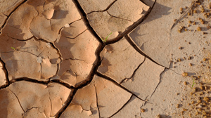 Vue aérienne dun sol sec fissuré